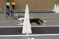IMG_5495