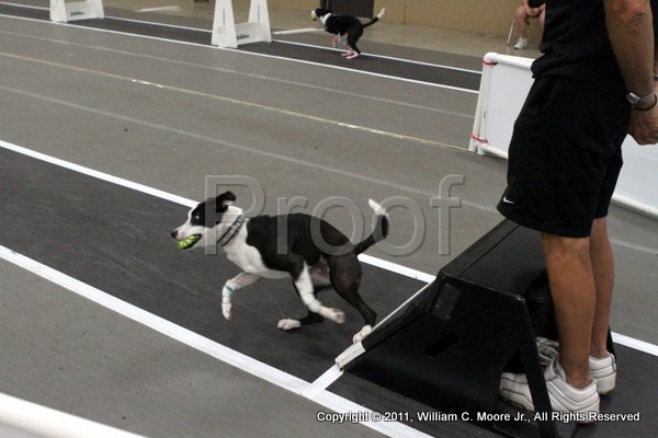 IMG_5570.JPG