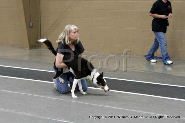 IMG_5685.JPG