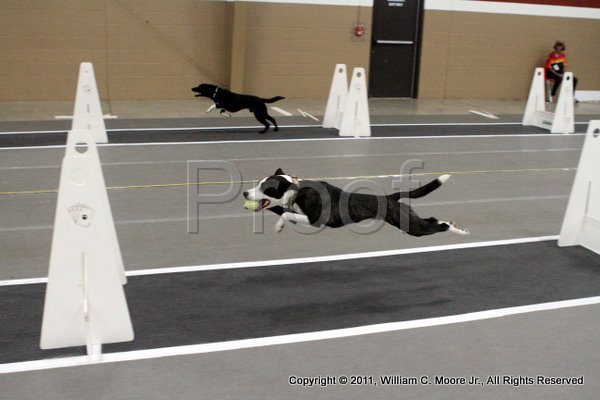 IMG_5731.JPG