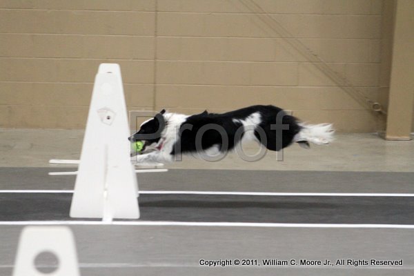 IMG_5798.JPG