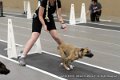 IMG_5539