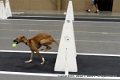 IMG_5541
