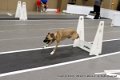 IMG_5545