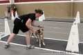 IMG_5551