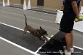 IMG_5554