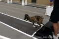 IMG_5562