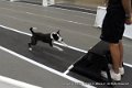 IMG_5567