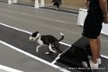 IMG_5570