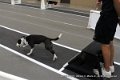 IMG_5571