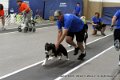 IMG_5609