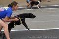 IMG_5634
