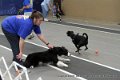 IMG_5636