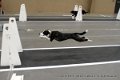 IMG_5717