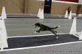 IMG_5738