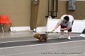 IMG_5771