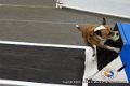 IMG_5931
