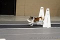 IMG_5966