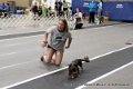IMG_6022
