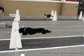 IMG_6041