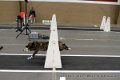 IMG_6050