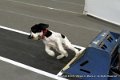 IMG_6082