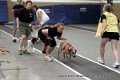 IMG_6095