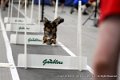 IMG_6270