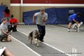 IMG_6277