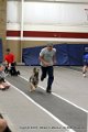 IMG_6294