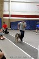 IMG_6295