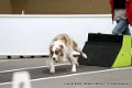 IMG_6526