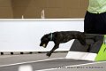 IMG_6543
