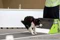 IMG_6548