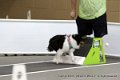 IMG_6556