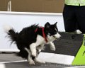 IMG_6559