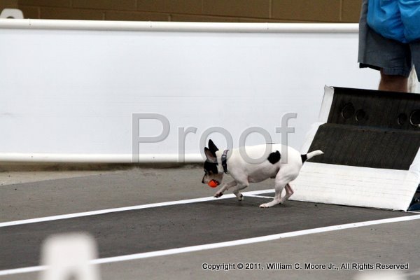 IMG_6753.JPG