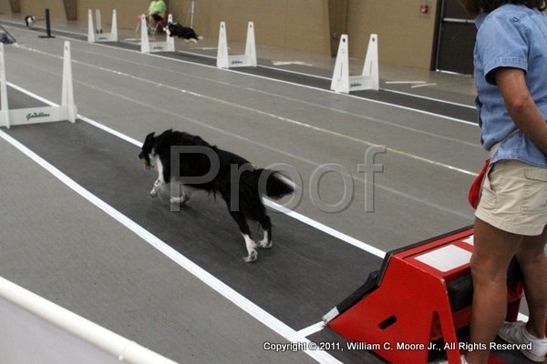 IMG_6949.JPG