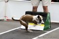 IMG_6671
