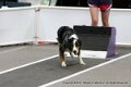 IMG_6727