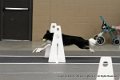 IMG_6762