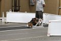 IMG_6765