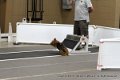 IMG_6767