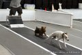 IMG_6788