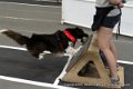 IMG_6822