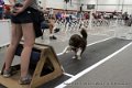 IMG_7033