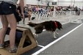 IMG_7036