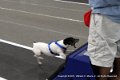 IMG_7045