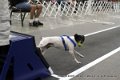 IMG_7058