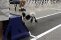 IMG_7061